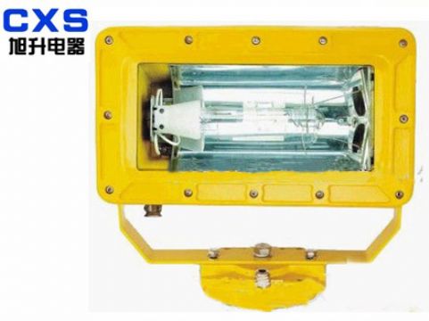 Outer Explosion-Proof Strong Flood Light